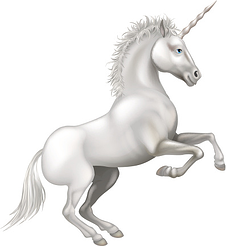unicorn