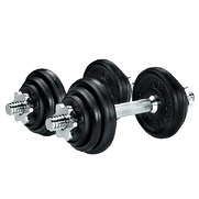 dumbbells resized 600