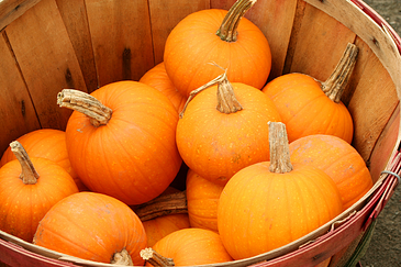 pumkins, nutrtion, health, employee wellness, nifs