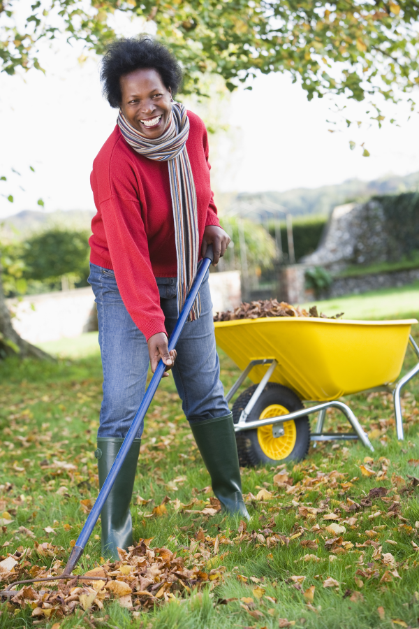 yard work, exercise, fitness