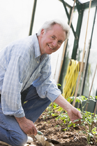 senior gardening