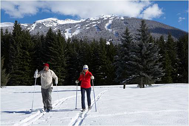 cross country skiing