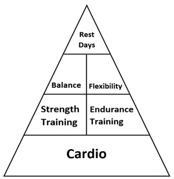 OTF Heart Rate Pyramid, physical exercise, human body