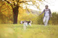 Женщина выгуливает собаку. Щенок на прогулке. Прогулка с собакой. Прогулки со щенком. Социализация собаки.