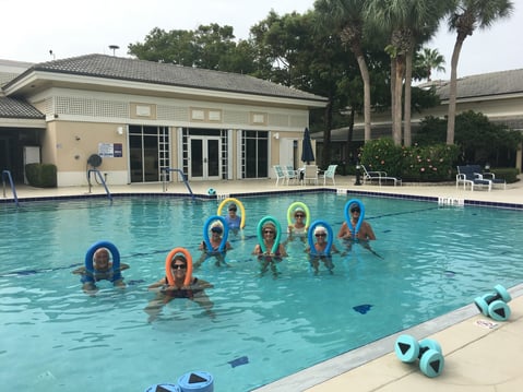 noodles in the Pool